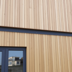 Sustainable Building Solutions: The Advantages of External Composite Timber Cladding