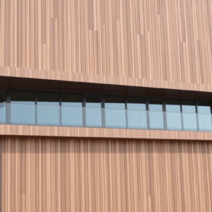 The Future of Building Facades: WPC Cladding UAE